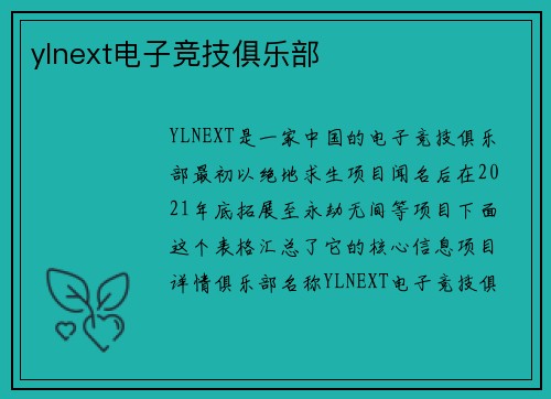 ylnext电子竞技俱乐部
